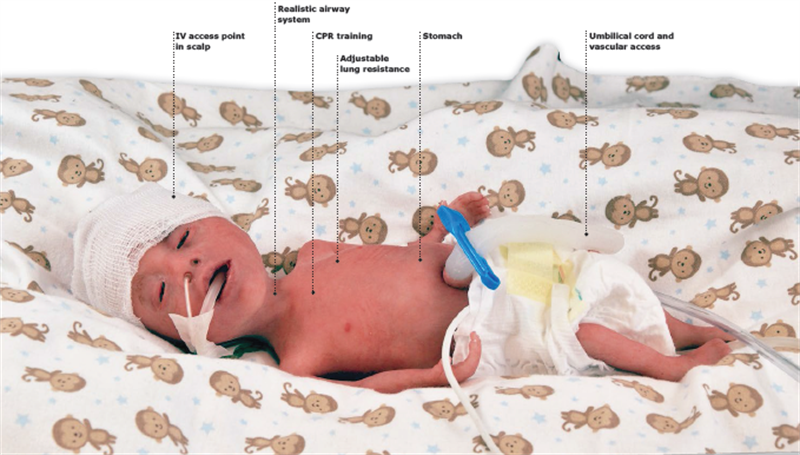 SIMULATE CHRISTMAS NONASIM PREEMIE